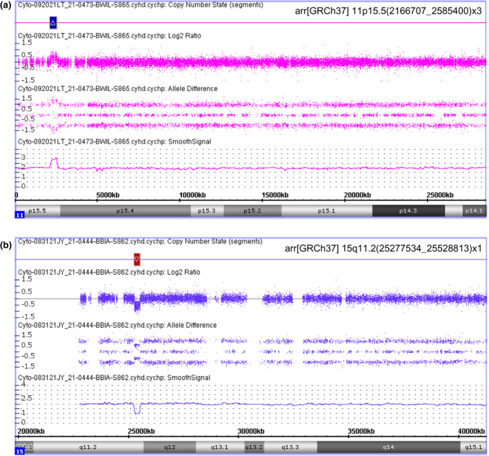 FIGURE 1