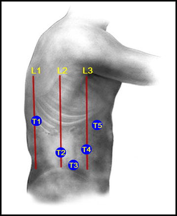 Fig. 2