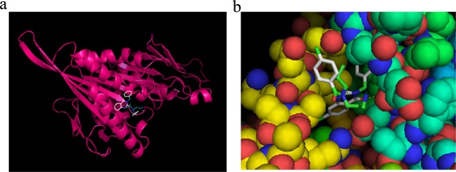 Figure 6