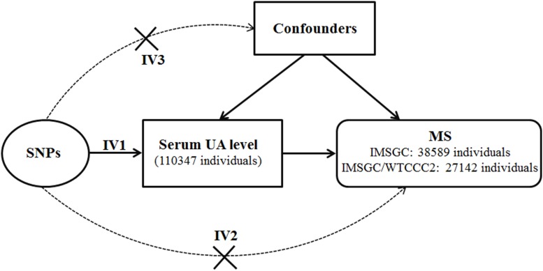 FIGURE 1