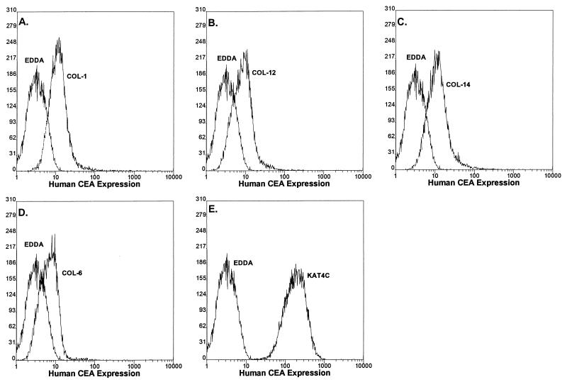 FIG. 4