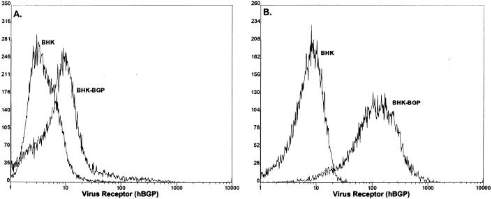 FIG. 6