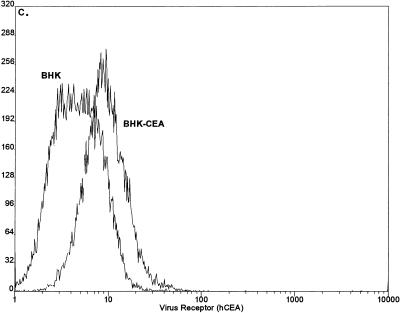 FIG. 6