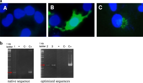 FIG. 1.