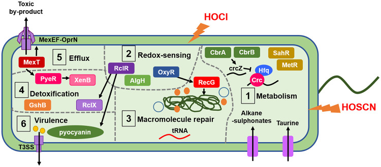 FIG 10