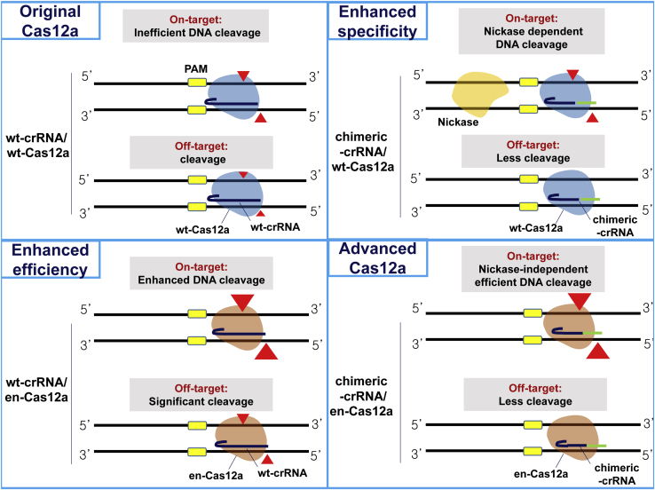 Figure 5