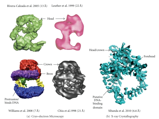 Figure 4