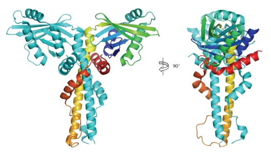 Figure 11