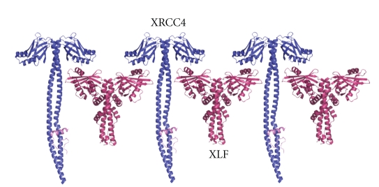 Figure 17