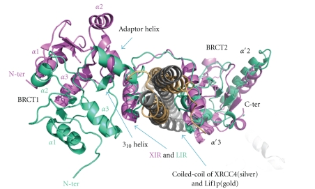 Figure 13