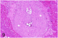 Fig 9