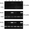 Figure 4.