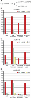 Figure 5.