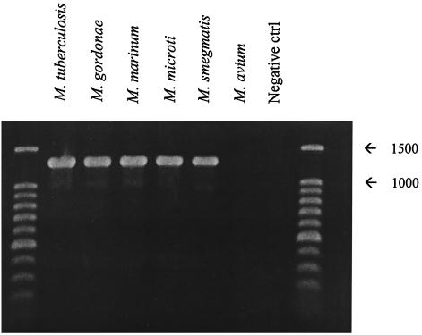 FIG. 8.