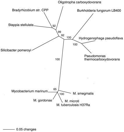 FIG. 9.