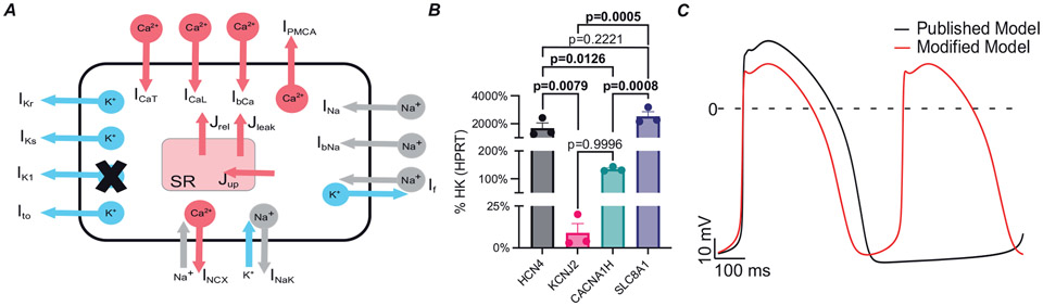 Figure 4.