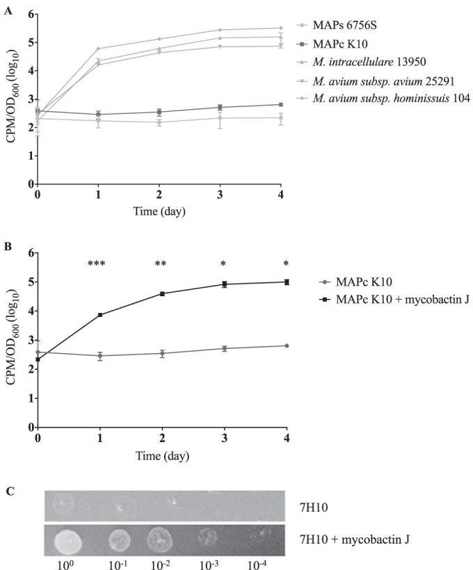 FIG 1