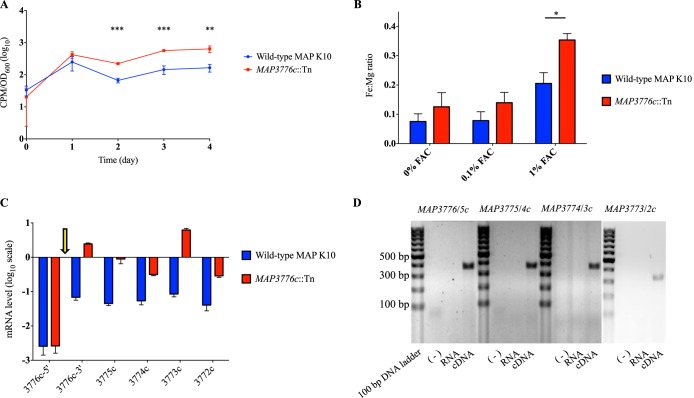 FIG 3