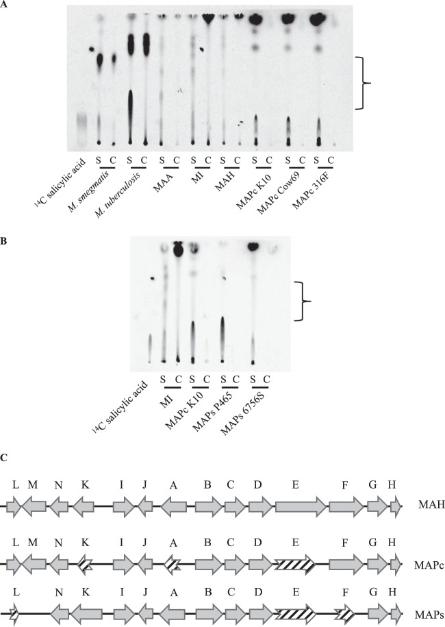 FIG 2