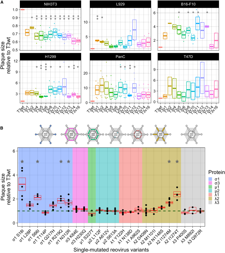 Figure 1