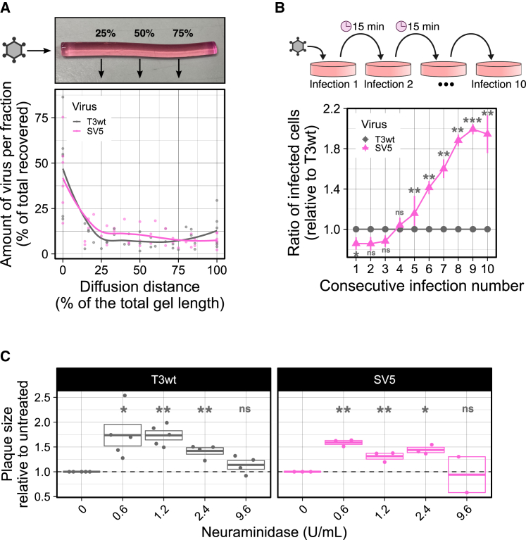 Figure 7