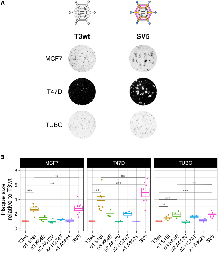 Figure 3