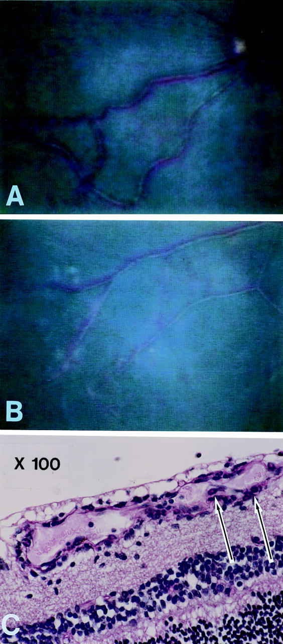 Figure 4  