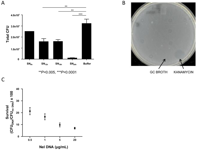 Fig 4.