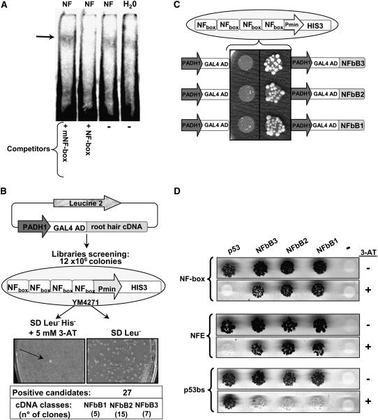 Figure 4.