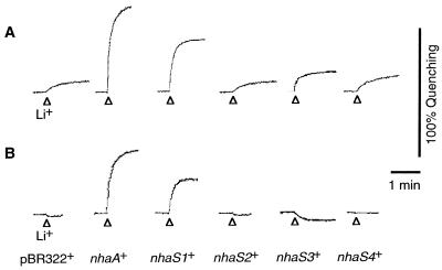 FIG. 4