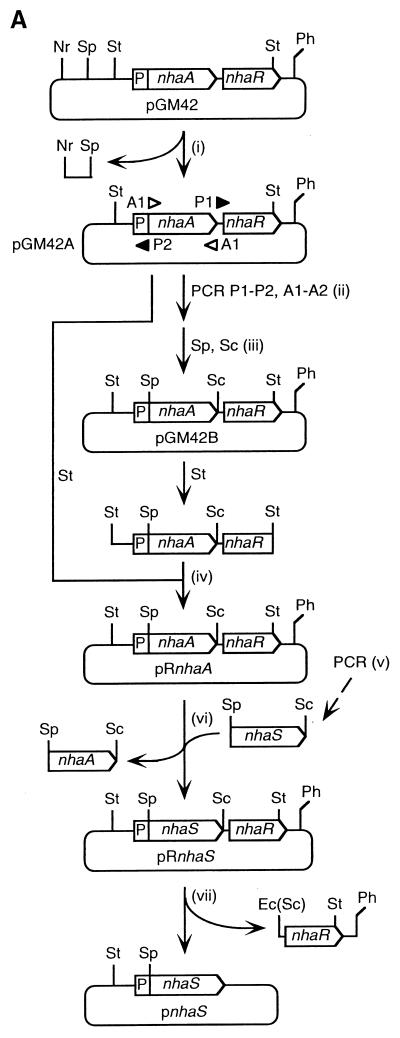 FIG. 1