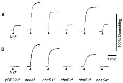 FIG. 3