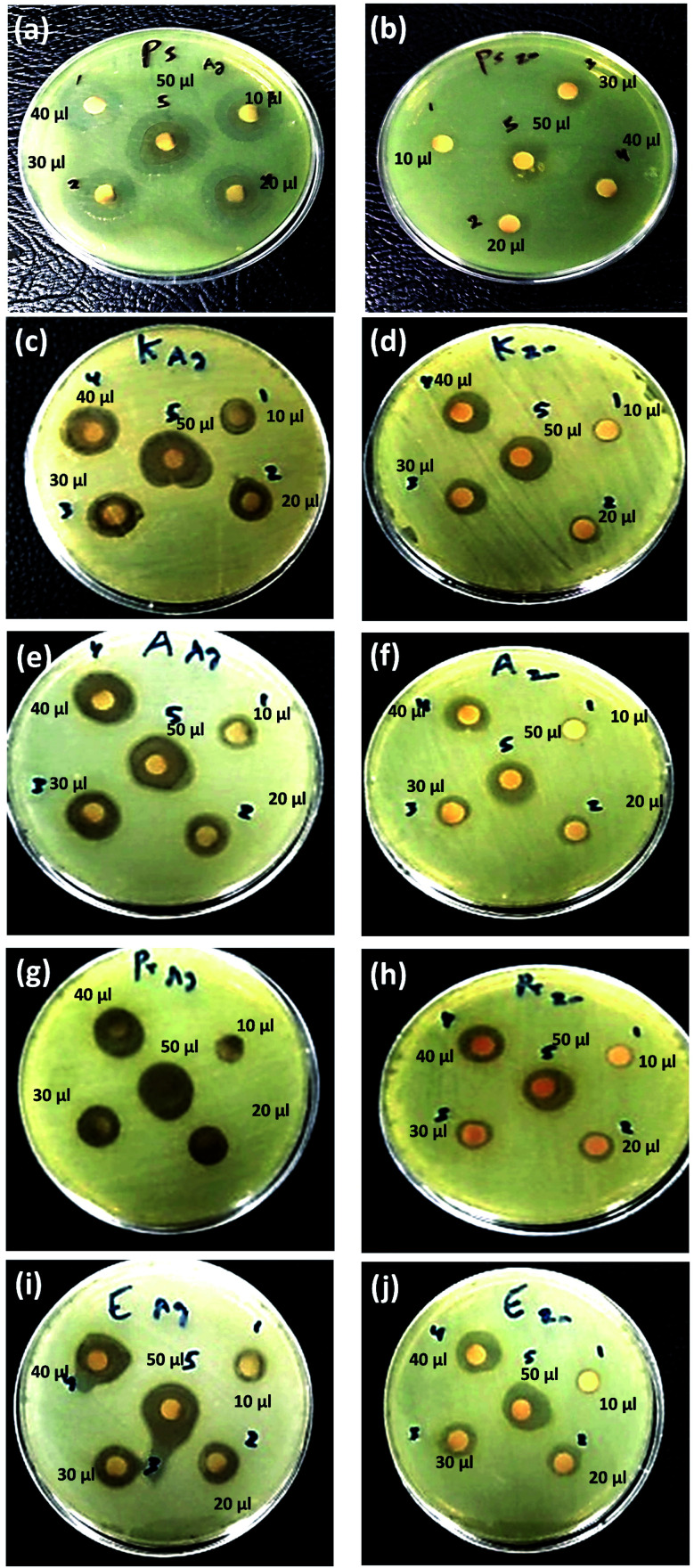 Fig. 9