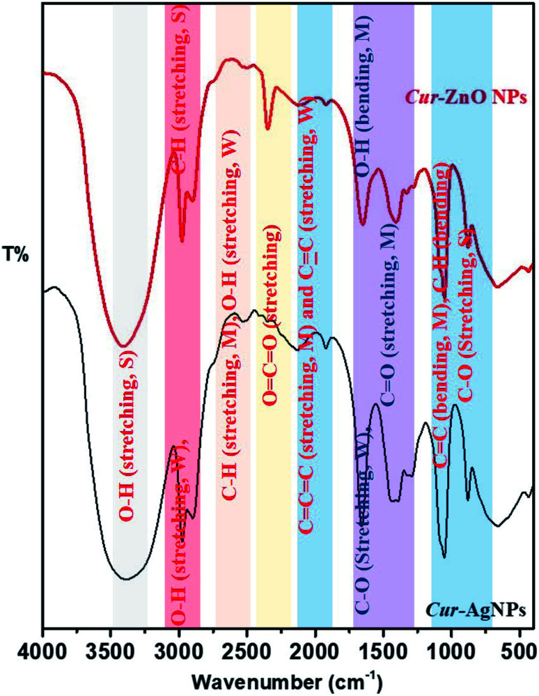 Fig. 7