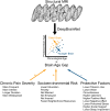 Graphical Abstract