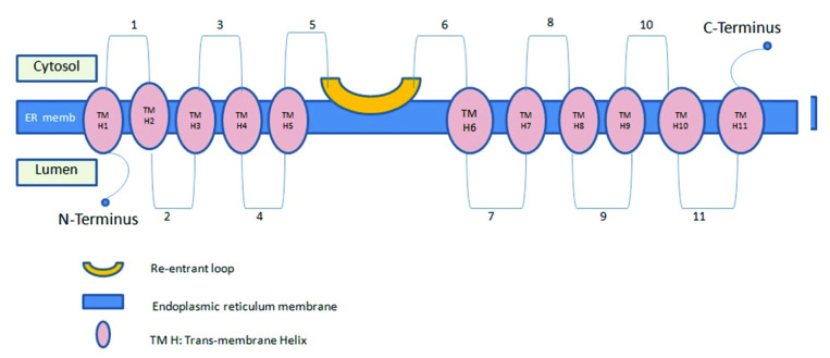 [Table/Fig-2]: