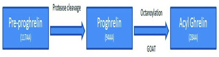 [Table/Fig-1]: