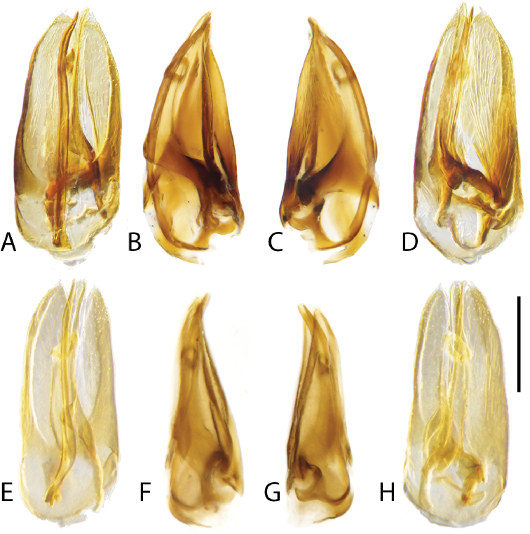 Figure 16.