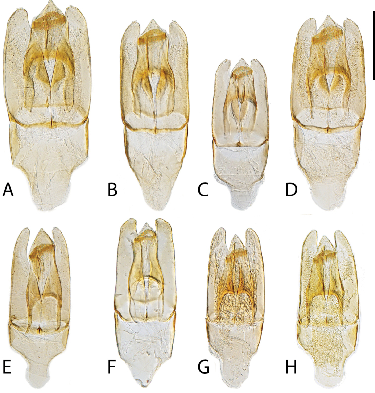 Figure 14.