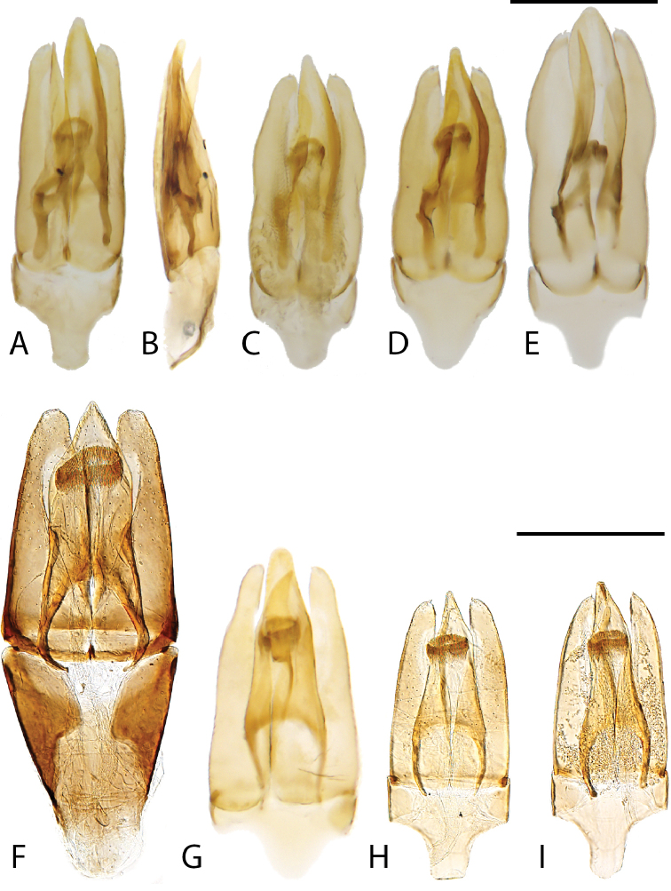 Figure 15.