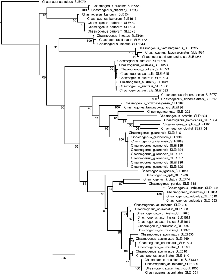 Figure 1.