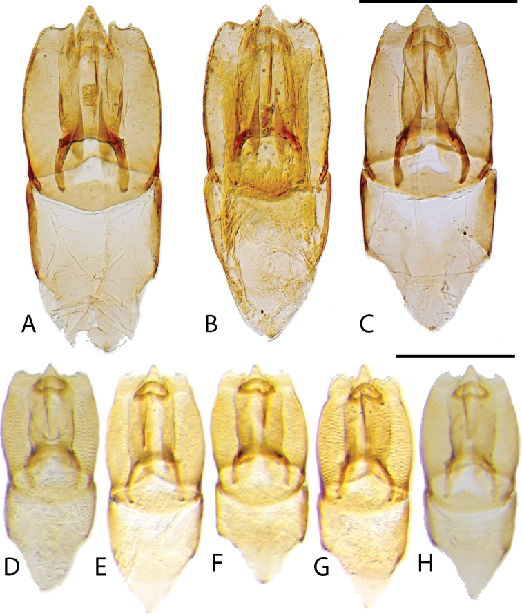 Figure 11.