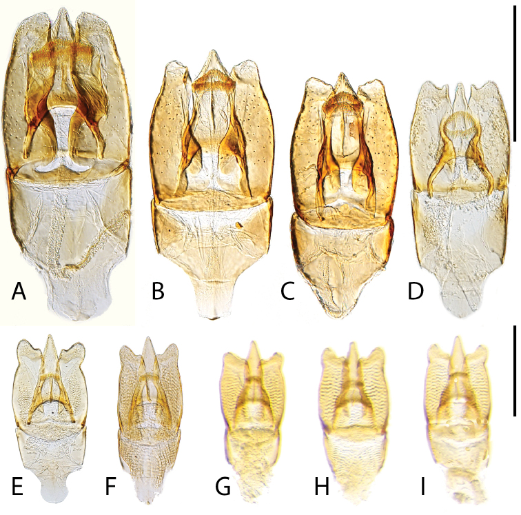 Figure 12.