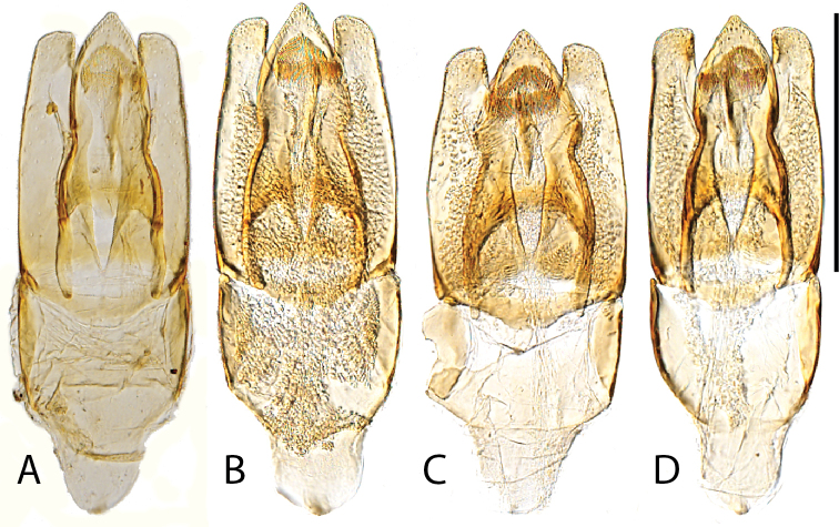 Figure 13.