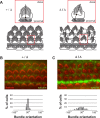 Fig 5