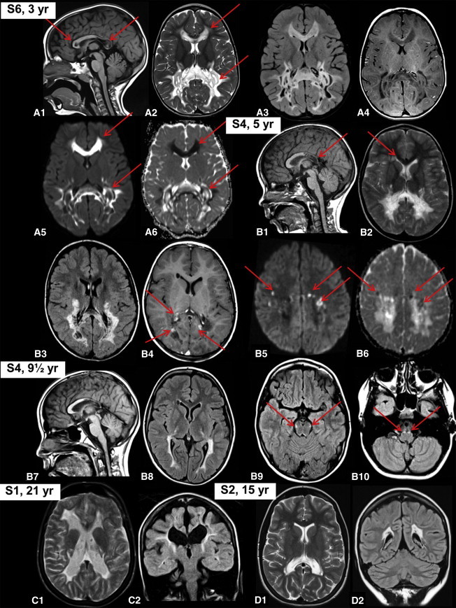 Figure 1