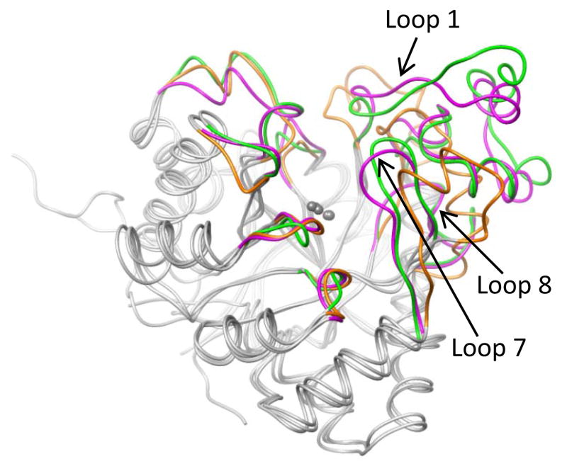 Figure 7