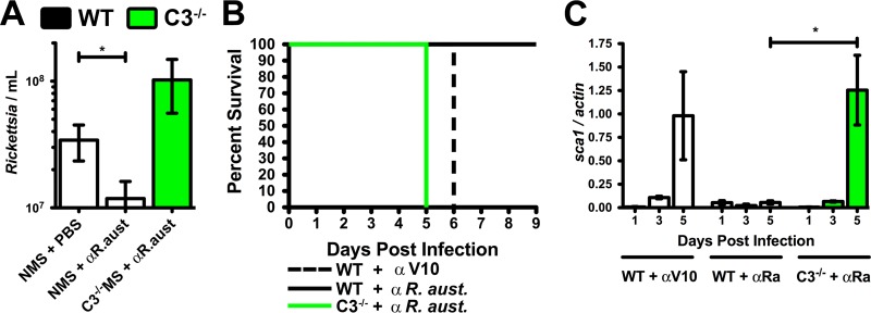 FIG 5