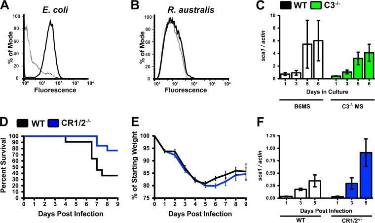 FIG 4