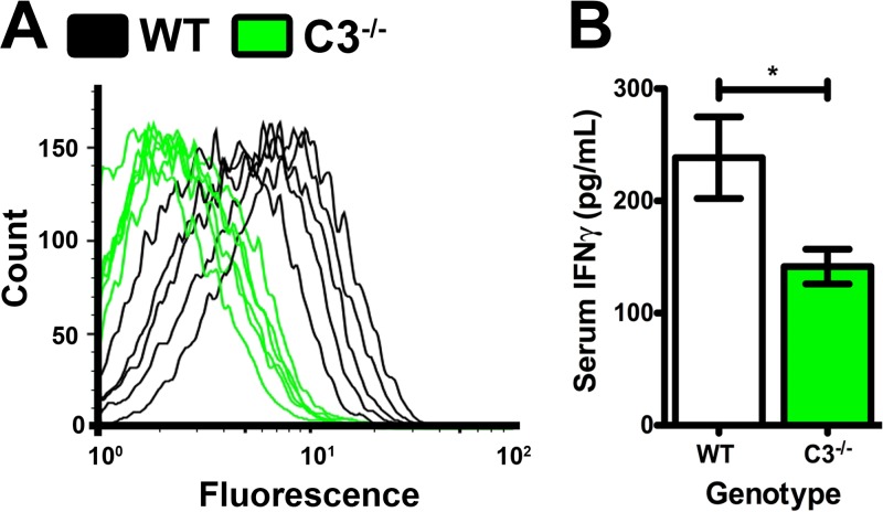 FIG 6